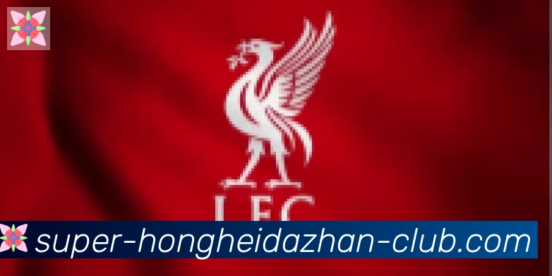 红黑大战官网棋牌合作伙伴